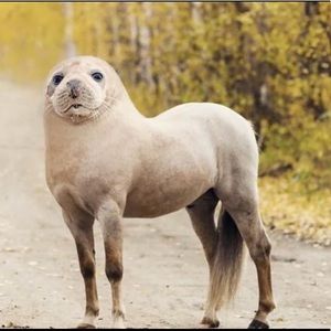 Meet your Posher, Alexandra